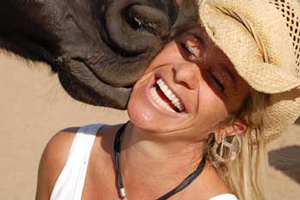 The Equine Experience