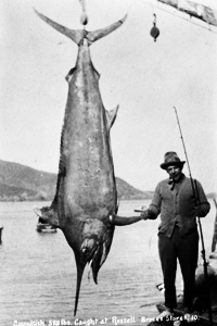 Arizona large trout stocking plans