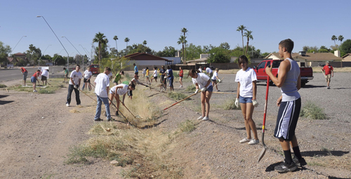 Live Love Chandler Clean-up