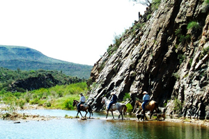 Cold Canyon
